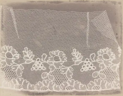 Lace