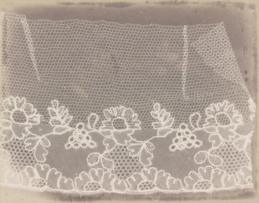 Lace by William Henry Fox Talbot