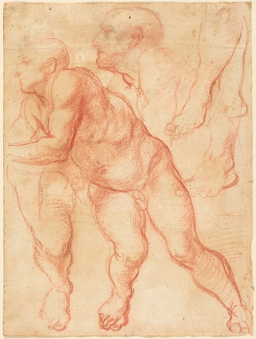 Studies of a Male Nude by Giovanni Battista Naldini