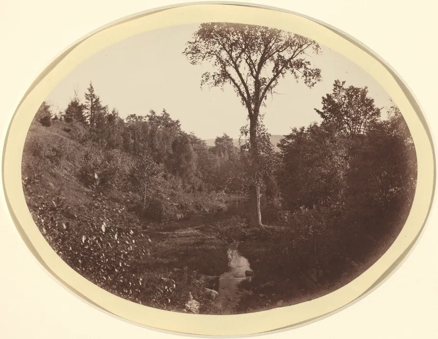 Landscape near Williams College by George K. Warren