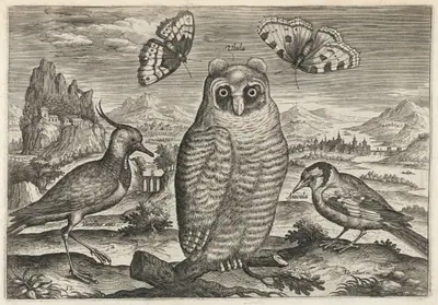Lapwing, Long Eared Owl, and Goldfinch