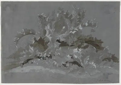 Study of Weeds