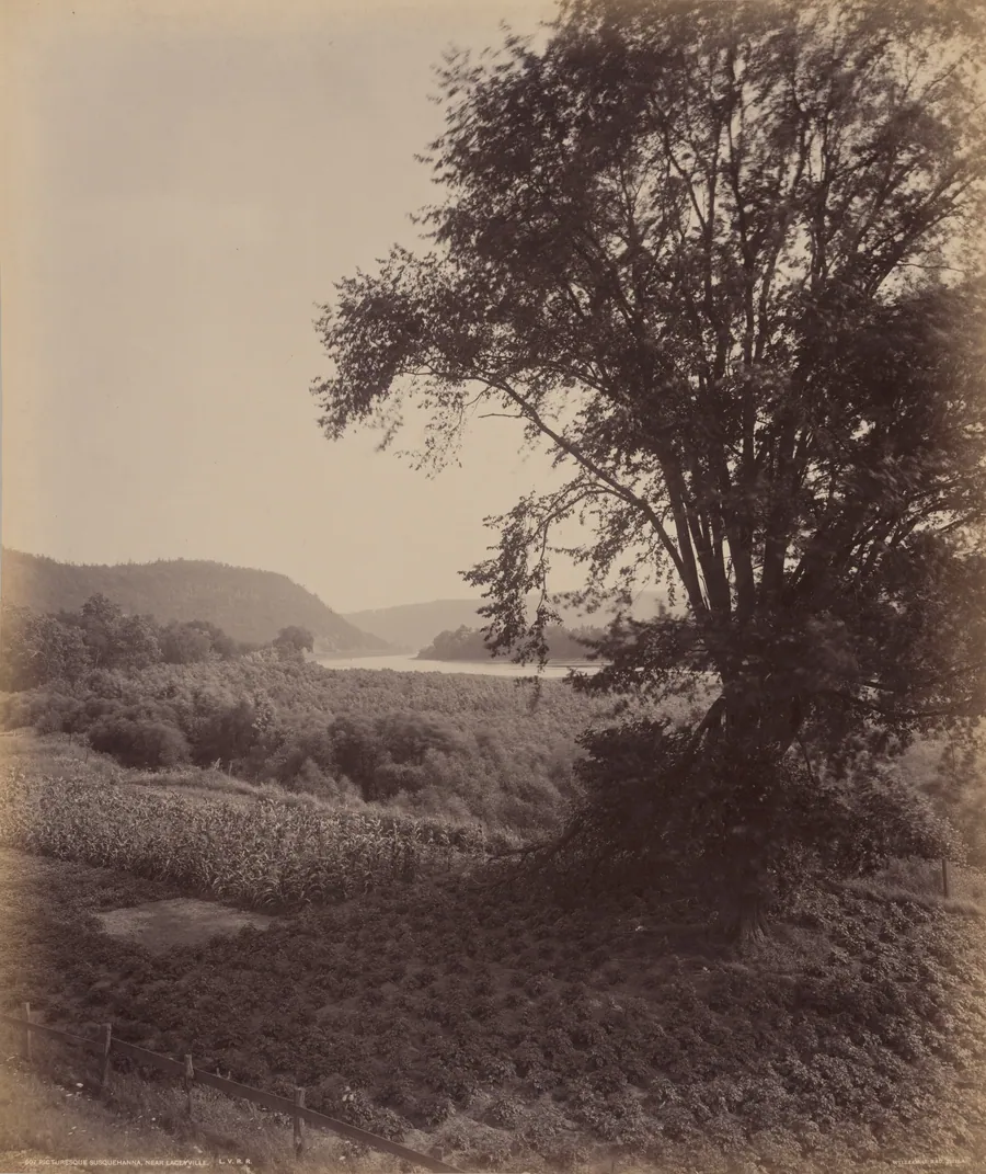 Picturesque Susquehanna, Near Laceyville by William H. Rau