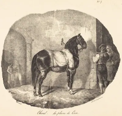 Cheval de la plaine de Caen