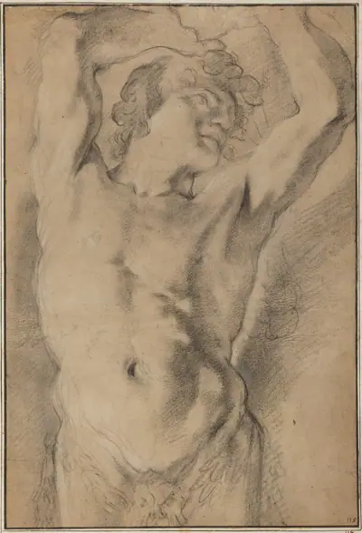 A Male Herm