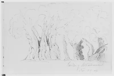 Garden of Gethsemane, 1904 (from Sketchbook)