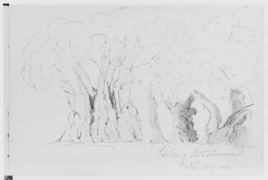 Garden of Gethsemane, 1904 (from Sketchbook) by Mary Newbold Sargent
