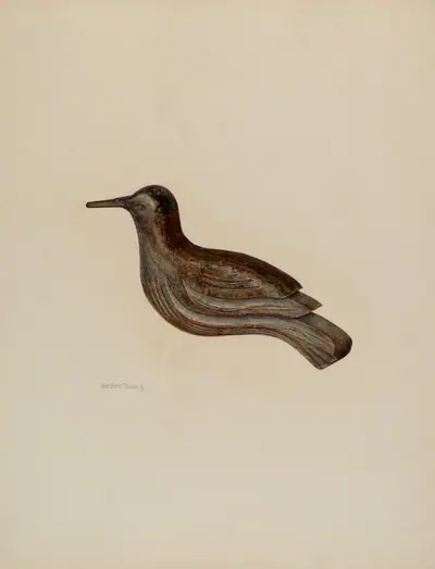 Snipe