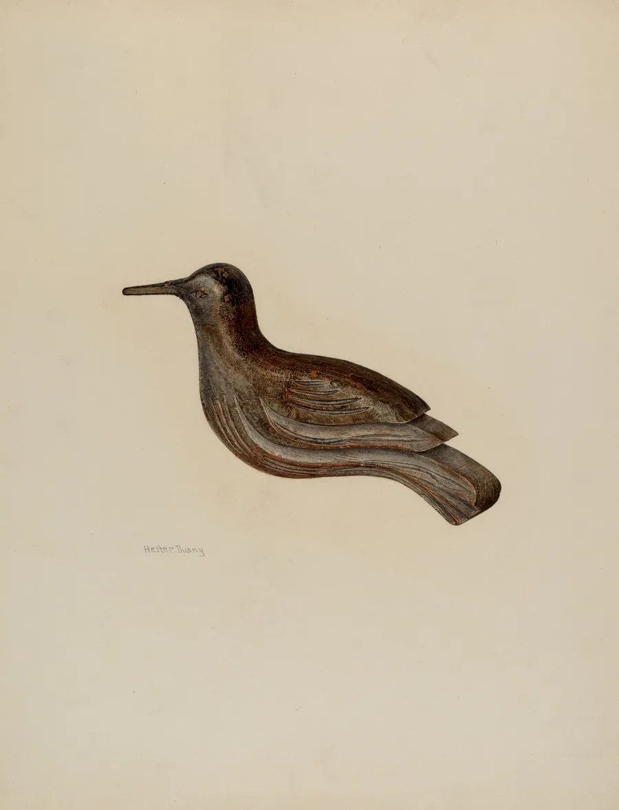 Snipe by Hester Duany