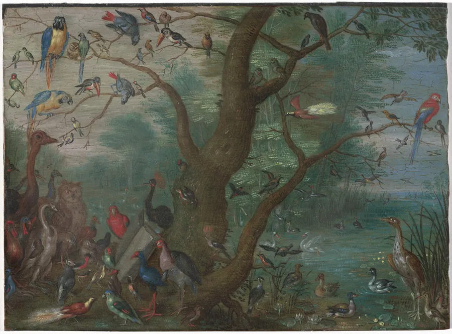 Concert of Birds by Anonymous Artist
