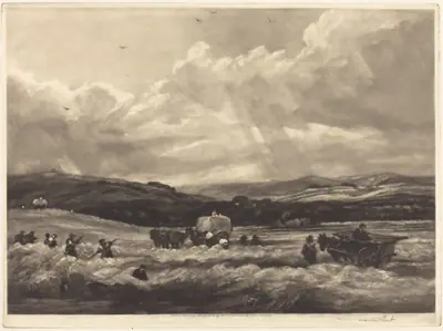 Hayfield in Yorkshire