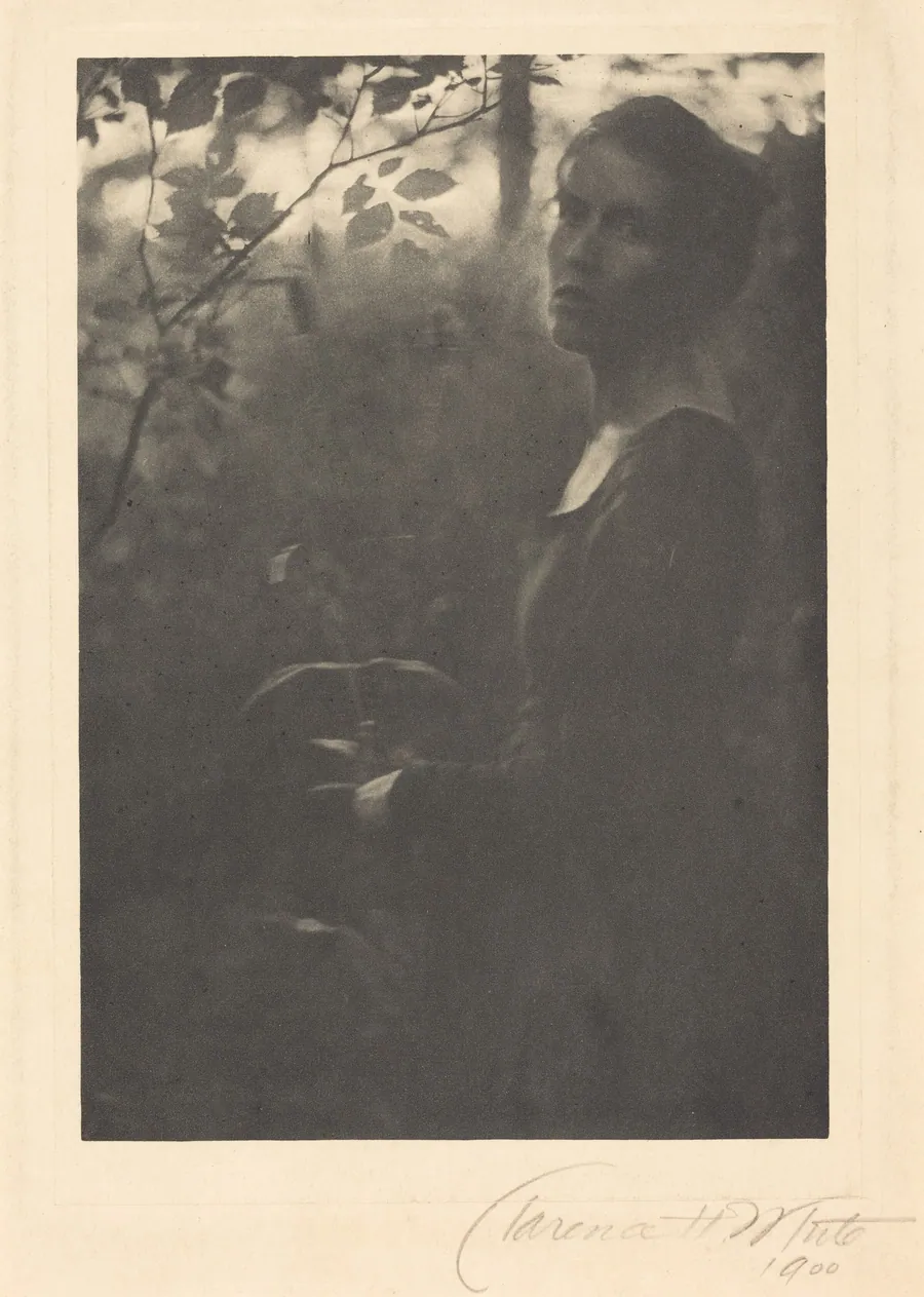 Edge of the Woods, Evening by Clarence H. White