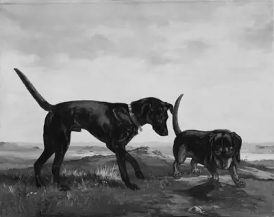 Et par hunde som opgraver et muldvarpeskud