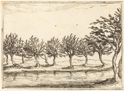Willows by the Water's Edge