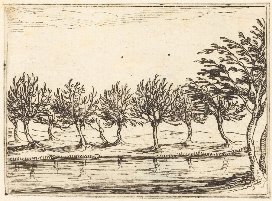 Willows by the Water's Edge by Jacques Callot