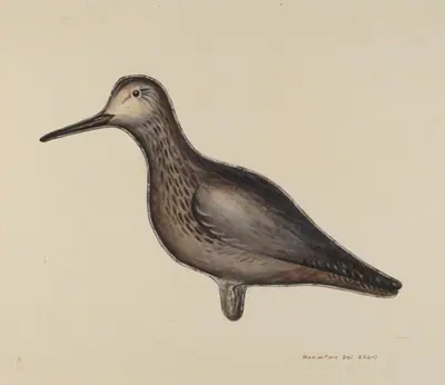 Greater Yellow Leg Decoy