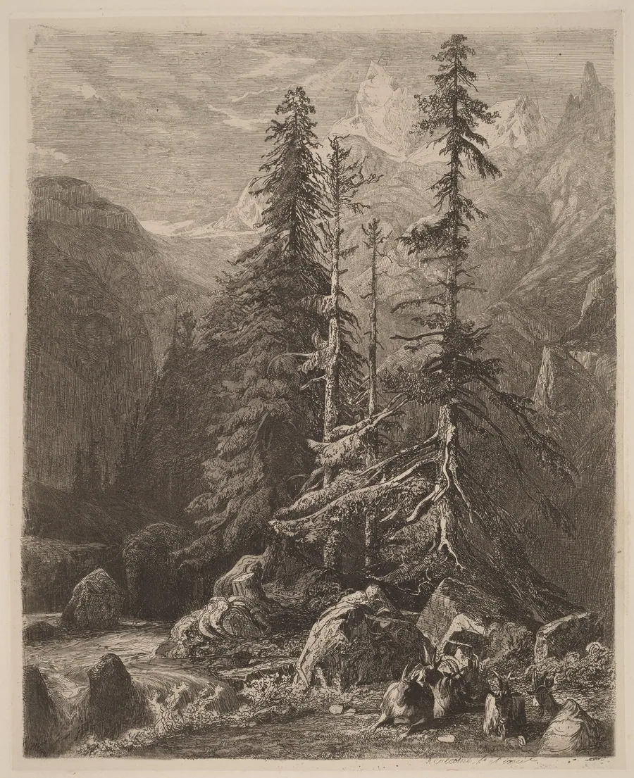 Essais de gravure à l'eau forte par Alexandre Calame, I, pl. 21 by Alexandre Calame