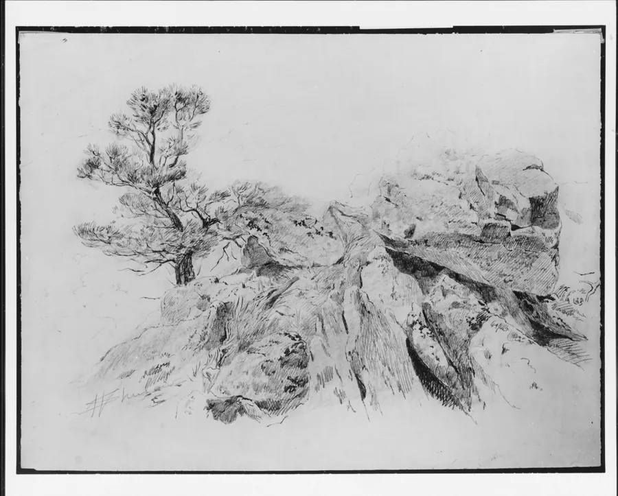 Tree and Rocks by Walter Shirlaw