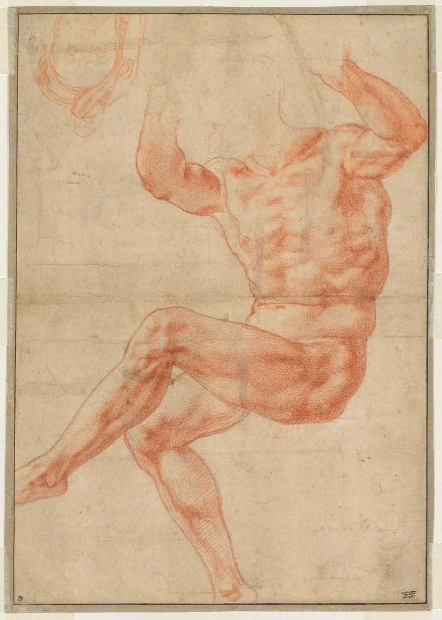 Study for the Nude Youth over the Prophet Daniel (recto) by Michelangelo Buonarroti