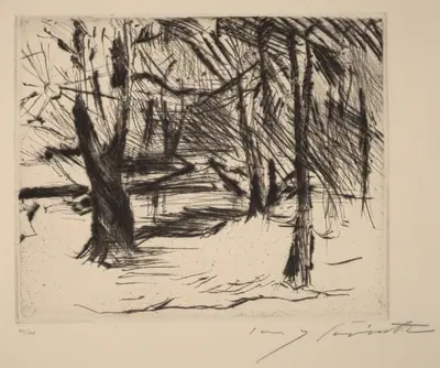 Bäume mit Sonne (Trees in the Sun)