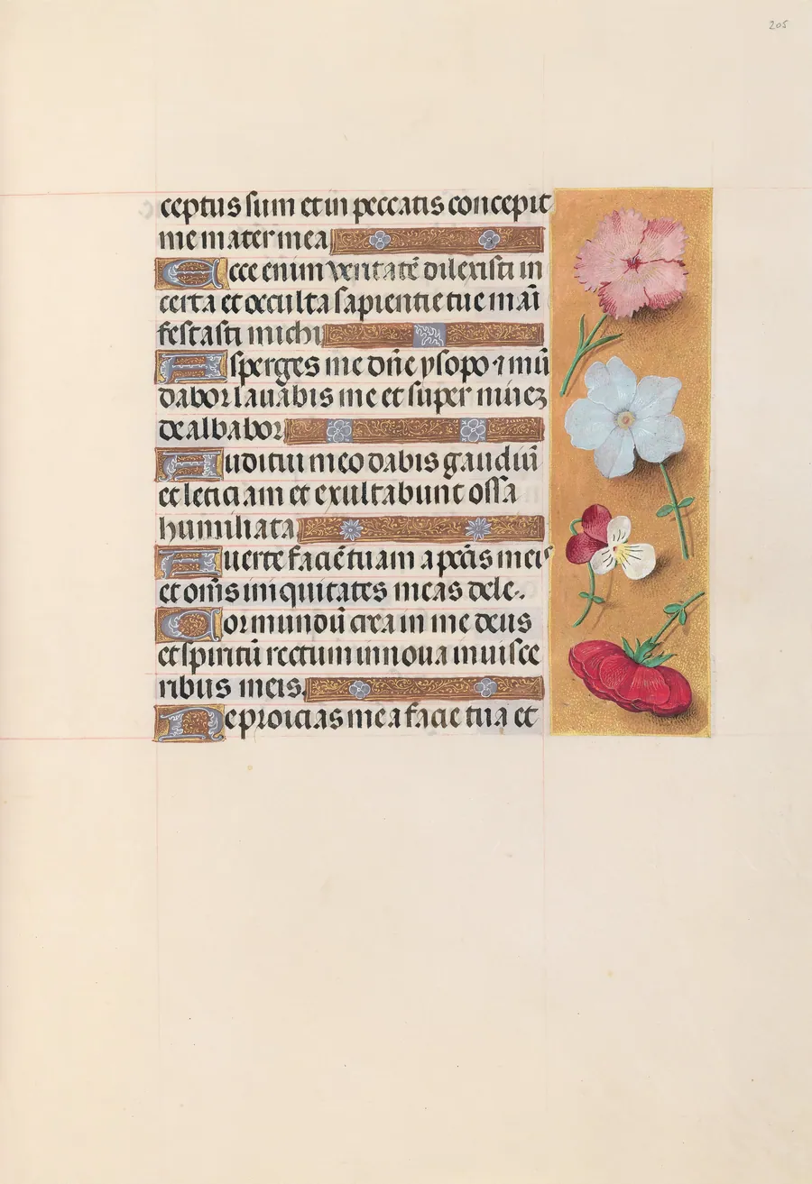 Hours of Queen Isabella the Catholic, Queen of Spain:  Fol. 205r by Master of the First Prayerbook of Maximillian