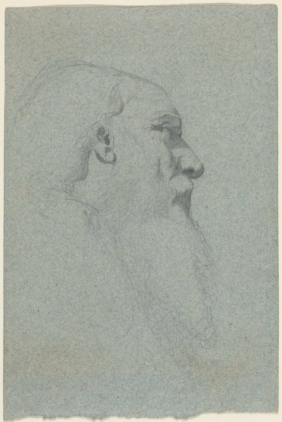 Head of a Bearded Man, Looking Right by Alexandre Bida