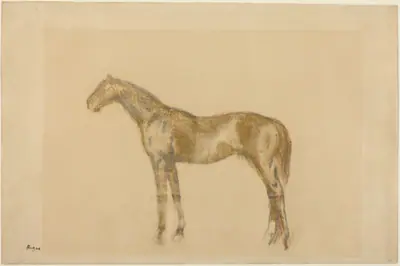 Horse