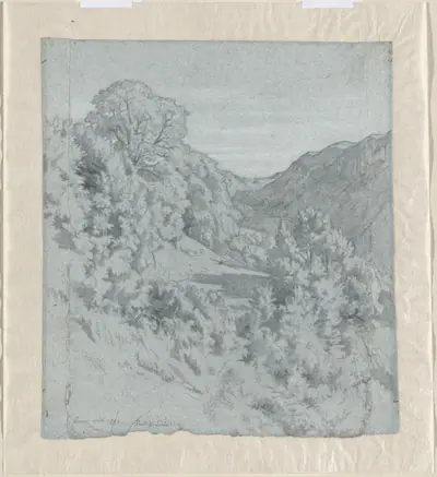Sunlit Trees in a Valley near Lacoux
