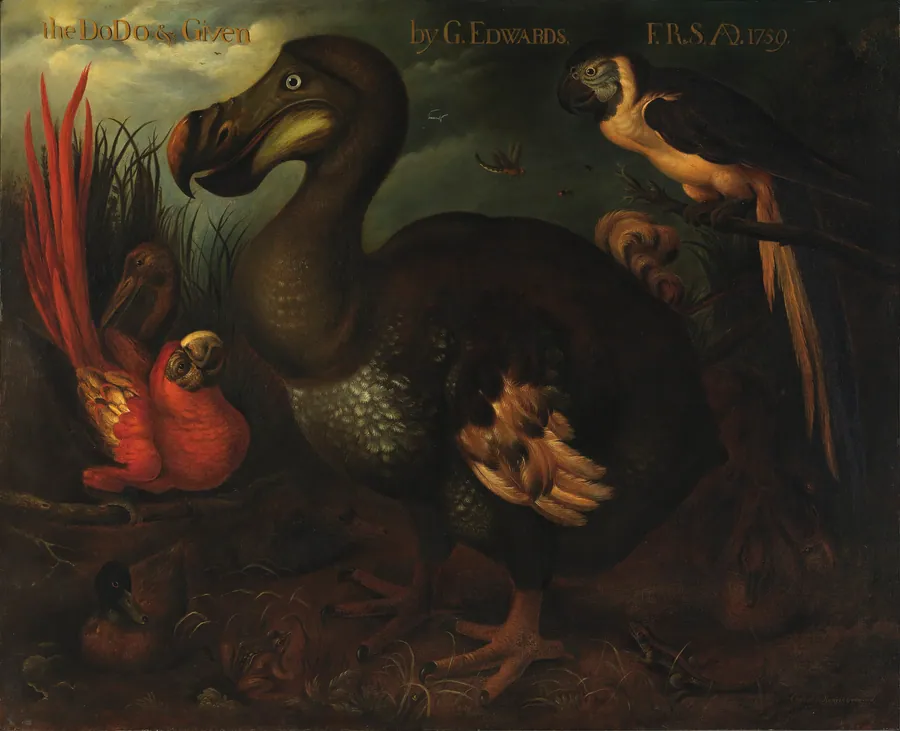 The Dodo and Given by Henrik Gronvold, British, born 1858-died 1940