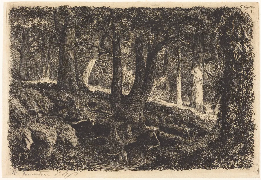 L'arbre aux racines (Tree with Roots) by Eugène Bléry