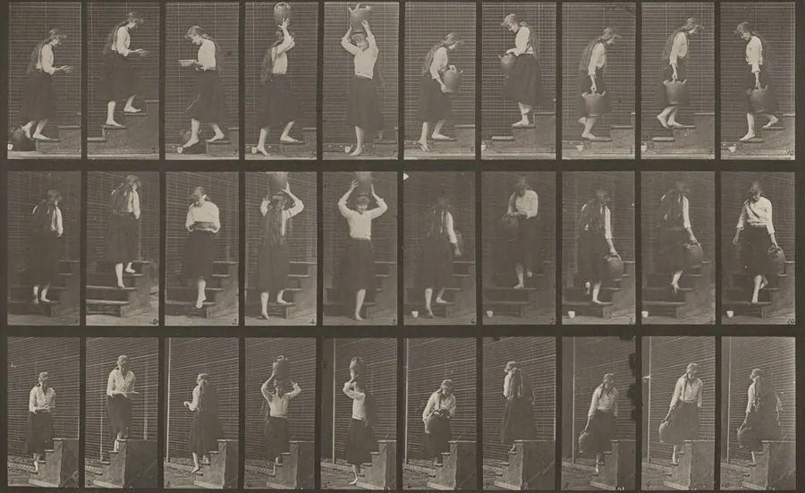 Plate Number 504. Ascending and descending stairs by Eadweard Muybridge