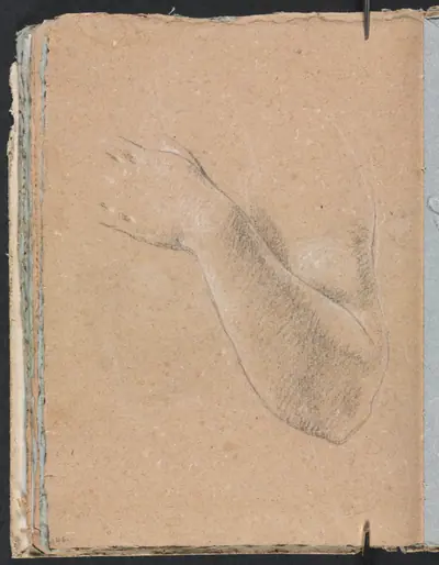 Verona Sketchbook: Left arm and hand (page 46)