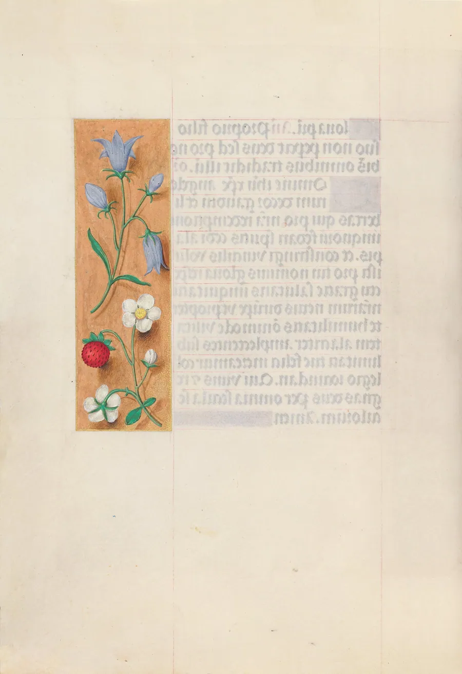 Hours of Queen Isabella the Catholic, Queen of Spain:  Fol. 60v by Master of the First Prayerbook of Maximillian