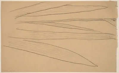 Study of a Flower [verso]