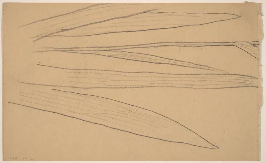 Study of a Flower [verso] by Charles Sprague Pearce