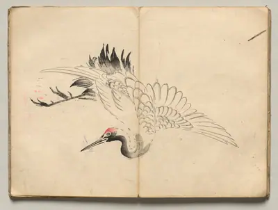 Crane from Ōkyo Picture Book