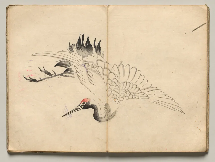 Crane from Ōkyo Picture Book by Maruyama Ōkyo