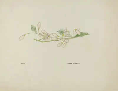 Costume Accessory (Orange Blossoms)