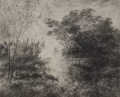Stags