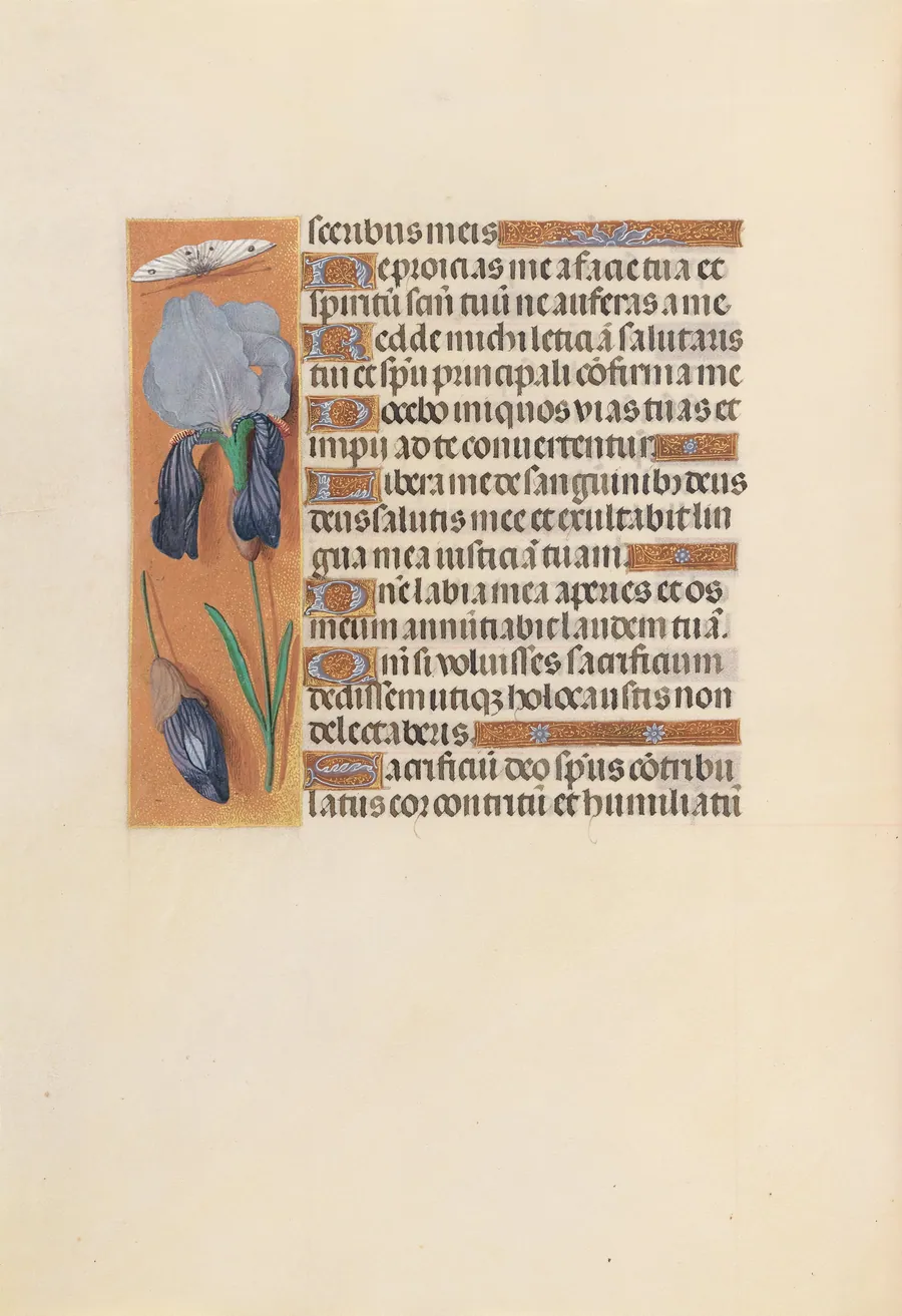Hours of Queen Isabella the Catholic, Queen of Spain:  Fol. 247v by Master of the First Prayerbook of Maximillian