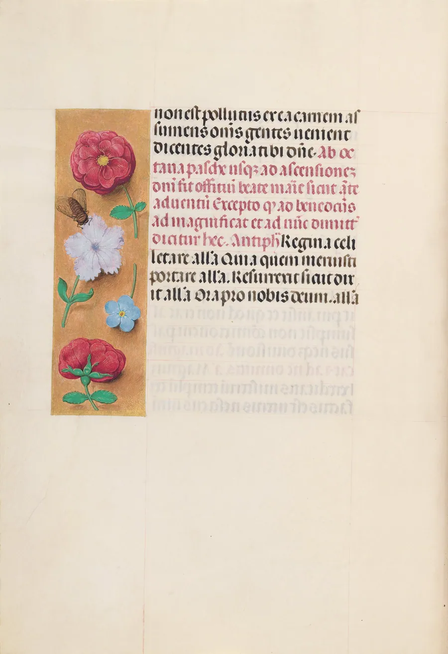 Hours of Queen Isabella the Catholic, Queen of Spain:  Fol. 166v by Master of the First Prayerbook of Maximillian