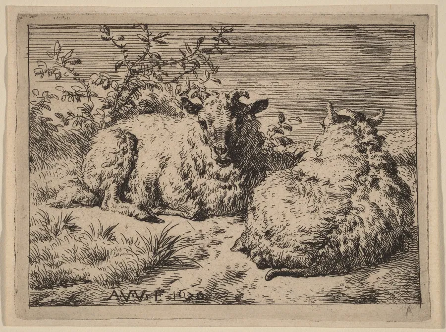 Two Recumbent Sheep by Adriaen van de Velde