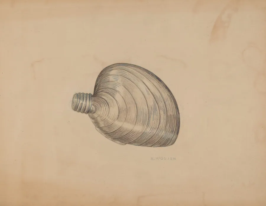 Shell Shaped Flask by Raymond McGough