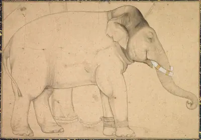 Drawing of an Elephant