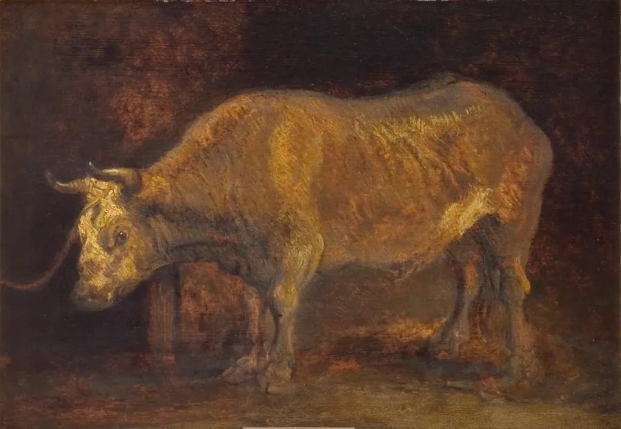 Stående okse by Rembrandts skole