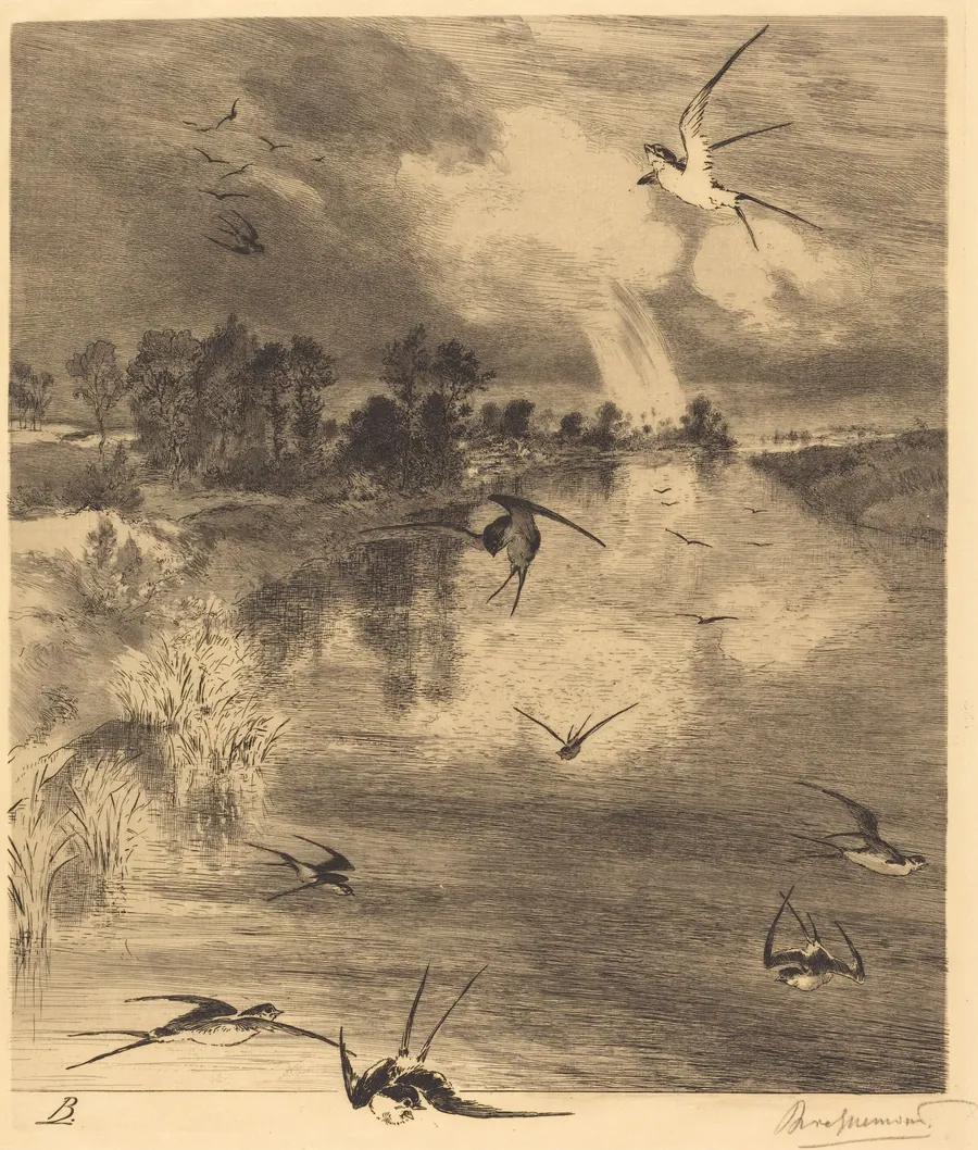 Les Hirondelles (The Swallows) by Félix Bracquemond