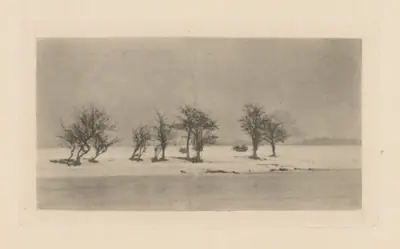 Gnarled Thorn Trees