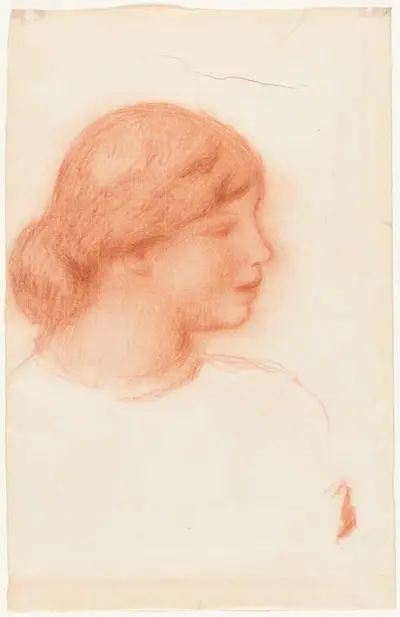 Profile of a Young Woman