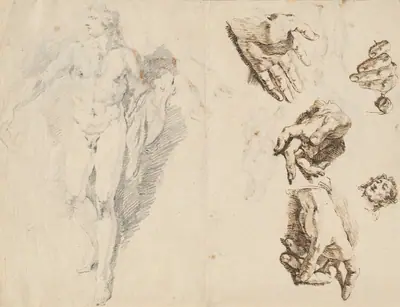 Apollo and Studies of the Artist's Own Hand [recto]