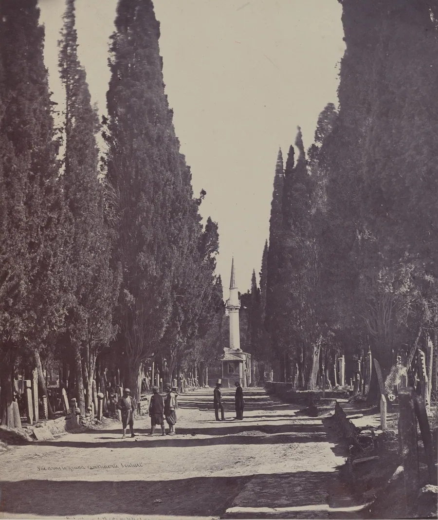 Vue dans le Grand Cimetière de Scutari (Scene in the Large Cemetery of Scutari) by James Robertson